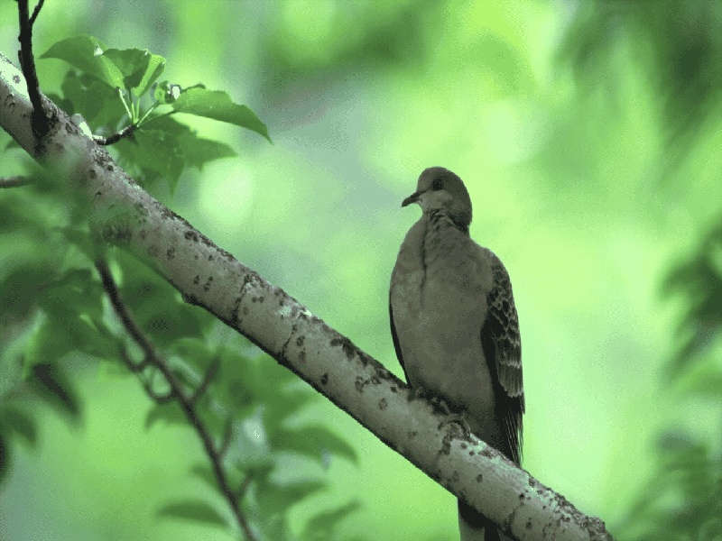 沈阳惜缘试管代生机构：怀二胎孕吐反应特大，和孕妇自身以及胎儿都有关